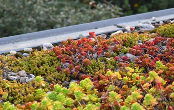 the cost of Ibberton green roof installation
