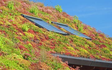 Ibberton living roof systems