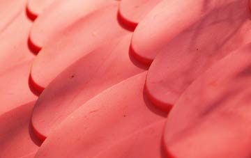 Ibberton plastic roof costs