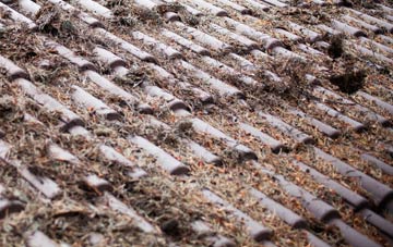 Ibberton roof cleaning companies