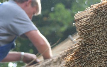 professional Ibberton thatchers