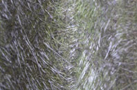 Ibberton fibreglass roof work